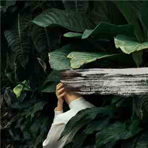 From Indian Lakes - Everything Feels Better Now mp3 album
