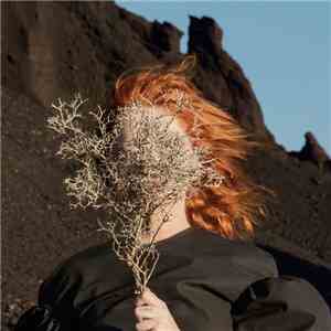 Goldfrapp - Silver Eye mp3 album