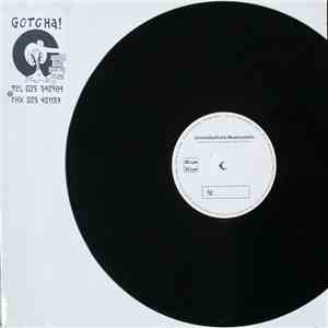 Gotcha! - Words And Music From Da Lowlands mp3 album