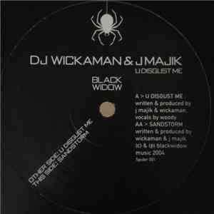 J Majik & Wickaman - U Disgust Me / Sandstorm mp3 album
