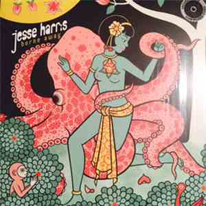 Jesse Harris - Borne Away mp3 album