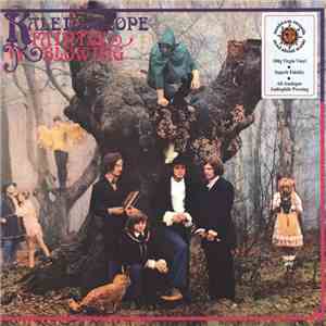 Kaleidoscope  - Faintly Blowing mp3 album