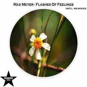 Max Meyer - Flashes Of Feelings mp3 album