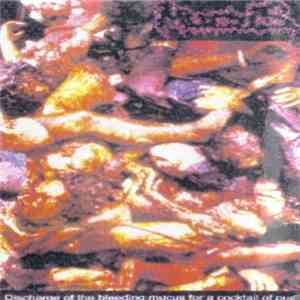 Mucus / Loggerhead Christ - Discharge Of The Bleeding Mucus For A Cocktail Of Pus / Immorality mp3 album