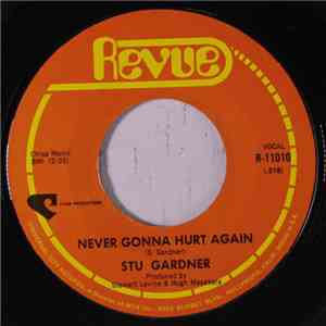 Stu Gardner - Never Gonna Hurt Again mp3 album