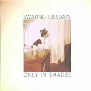 Swaying Tuesdays - Only In Shades mp3 album