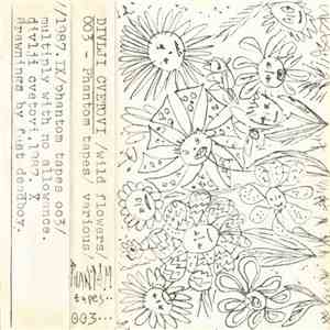 Various - Divlji Cvetovi /Wild Flowers/ mp3 album