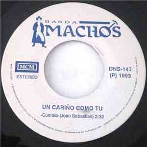 Banda Machos - Un Cariño Como Tu / Un Indio Quiere Llorar mp3 album