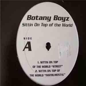 Botany Boyz - Sittin On Top Of The World mp3 album