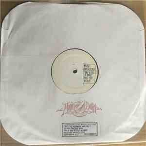 Brother Dege - How To Kill A Horse mp3 album