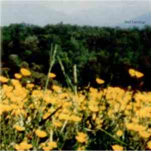 Buttercup  - Buttercup mp3 album