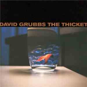 David Grubbs - The Thicket mp3 album