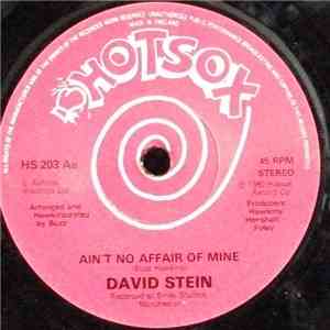 David Stein  - Ain't No Affair Of Mine mp3 album