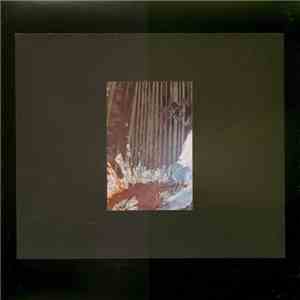 Jeph Jerman - The Bray Harp mp3 album