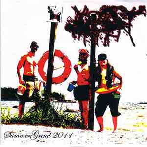 Messflesh - Summer Grind 2011 mp3 album