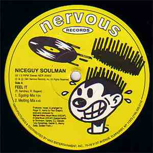 Niceguy Soulman - Feel It mp3 album