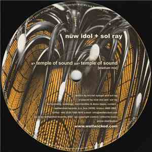 Nüw Idol + Sol Ray - Temple Of Sound mp3 album