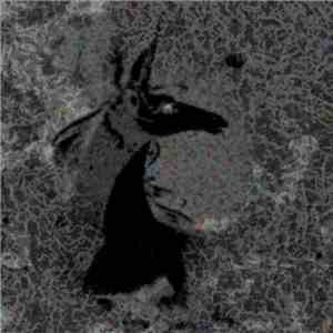 Последний Сигнал Мозга + Distribution Of Brain - Split mp3 album