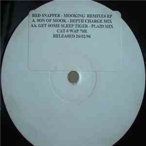 Red Snapper - Mooking (Remix) mp3 album
