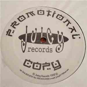 Robbie R. presents Electric Groove - The Land Of Ecstacy mp3 album