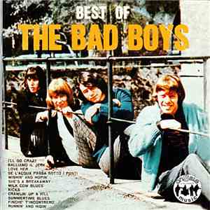 The Bad Boys  - Best Of mp3 album