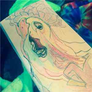 The Rabbit and Dragon - Not Drowning mp3 album