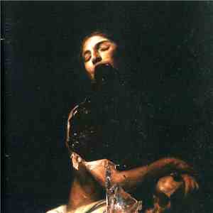 The Veils - Total Depravity mp3 album