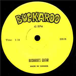 Unknown Artist - Buckaroo TV Theme Song mp3 album
