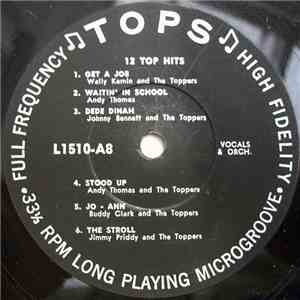 Various - 12 Top Hits mp3 album