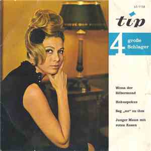 Various - 4 Große Schlager mp3 album