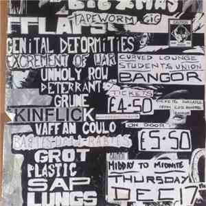 Various - The Tapeworm In The Banana mp3 album