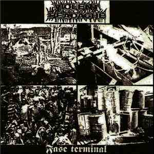 Violent Headache - Fase Terminal mp3 album