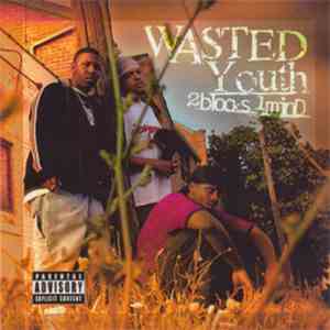 Wasted Youth  - 2 Minds, 1 Block mp3 album