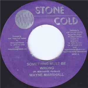 Wayne Marshall - Something Must Be Wrong mp3 album