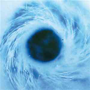 Yoko Ono / Kim Gordon / Thurston Moore - Yokokimthurston mp3 album