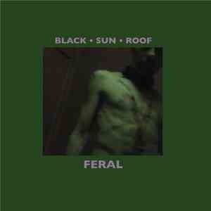 Black Sun Roof - Feral mp3 album