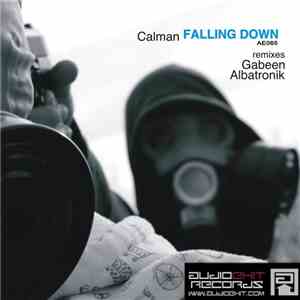 Calman - Falling Down mp3 album