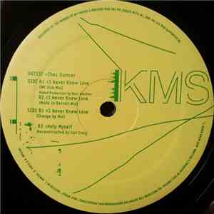 Chez Damier - I Never Knew Love mp3 album