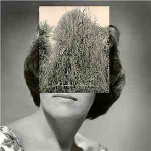 Crash Normal - Your Body Got A Land mp3 album