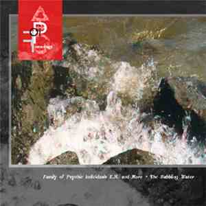 Der Heidi Ist Lieb! - The Babbling Water mp3 album