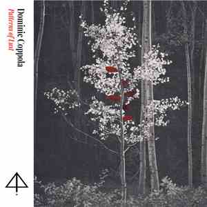 Dominic Coppola - Patterns Of Lust mp3 album