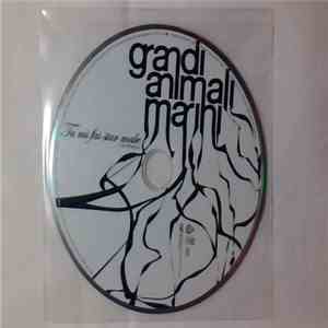 Grandi Animali Marini - Tu Mi Fai Star Male mp3 album