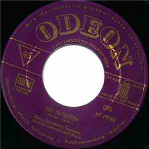 Heinz Schachtner / Adalbert Luczkowski U. S. Orchester - Lili Marleen / Andrea mp3 album