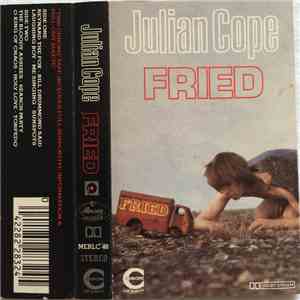 Julian Cope - Fried mp3 album