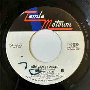 Marvin Gaye - How Can I Forget / Gonna Give Her All The Love I've Got mp3 album