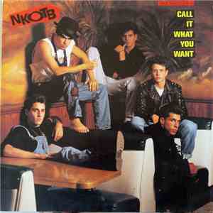New Kids On The Block - Call It What You Want mp3 album