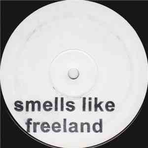 Nirvana / Adam Freeland - Smells Like Freeland mp3 album