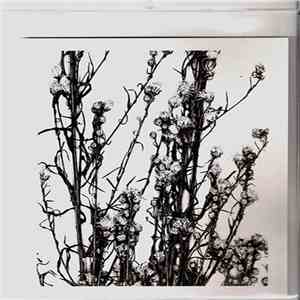 Praying For Oblivion - Blood Fraction mp3 album