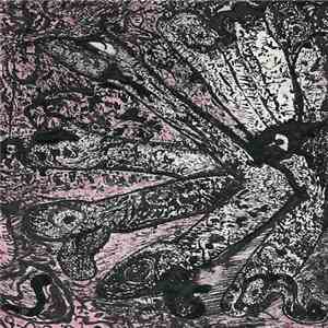Residual Echoes - Incredible Feets mp3 album