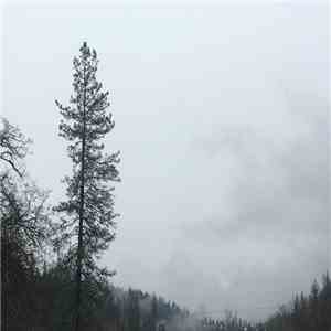 Ross Hammond  - Reprieve mp3 album